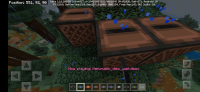 Screenshot_20201004-092225_Minecraft.jpg