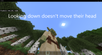 Minecraft 28_10_2020 22_04_52.png