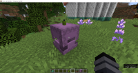 shulkerbox 1.png