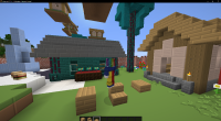Minecraft 1.16.4 - Multiplayer (3rd-party Server) 11_12_2020 6_51_28 PM.png