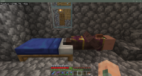 Minecraft 11_17_2020 12_54_01 PM.png