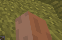 Minecraft_ 1.16.4 - Singleplayer 11_20_2020 9_27_20 PM (2).png