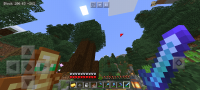 Screenshot_20201121-150228_Minecraft.jpg