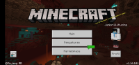 Screenshot_2020-11-24-12-06-33-011_com.mojang.minecraftpe.jpg