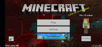 Screenshot_20201125-085931_Minecraft.jpg