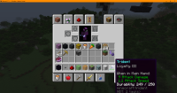 Minecraft 1.16.4 - Multiplayer (3rd-party Server) 11_25_2020 4_59_22 PM.png