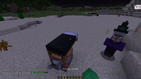 Minecraft Bug.png