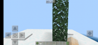 Screenshot_20201208-202130_Minecraft.jpg