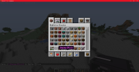 Minecraft_ 1.16.4 - Singleplayer 12_17_2020 3_45_44 PM.png