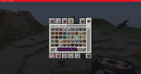 Minecraft_ 1.16.4 - Singleplayer 12_17_2020 3_45_27 PM.png