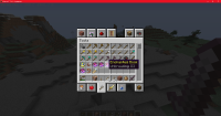 Minecraft_ 1.16.4 - Singleplayer 12_17_2020 3_41_38 PM.png