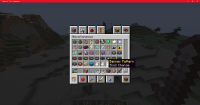 Minecraft_ 1.16.4 - Singleplayer 12_17_2020 3_41_18 PM.png