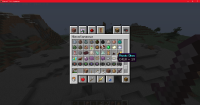 Minecraft_ 1.16.4 - Singleplayer 12_17_2020 3_41_12 PM.png