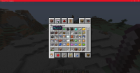 Minecraft_ 1.16.4 - Singleplayer 12_17_2020 3_40_38 PM.png