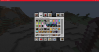Minecraft_ 1.16.4 - Singleplayer 12_17_2020 3_39_28 PM.png
