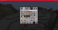 Minecraft_ 1.16.4 - Singleplayer 12_17_2020 3_39_19 PM.png