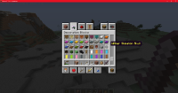 Minecraft_ 1.16.4 - Singleplayer 12_17_2020 3_39_15 PM.png