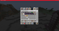 Minecraft_ 1.16.4 - Singleplayer 12_17_2020 3_38_15 PM.png