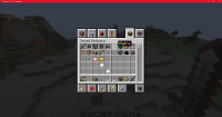 Minecraft_ 1.16.4 - Singleplayer 12_17_2020 3_38_20 PM.png