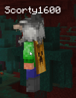 Cape on my Character.png