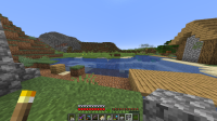 Minecraft Screenshot 2021.01.14 - 11.20.21.100.png