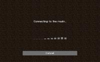 Minecraft Screenshot 2021.01.15 - 09.35.56.40.png
