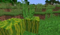 Tall Grass In Melon.png