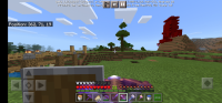 Screenshot_20210129_171338_com.mojang.minecraftpe.jpg