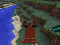 Minecraft Horse Bug 3.png