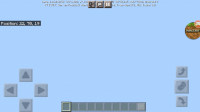 Screenshot_20210205-074234_Minecraft.jpg