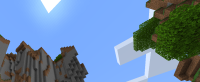 Minecraft 1_1_2021 2_22_18 PM (2).png
