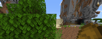 Minecraft 1_1_2021 2_22_12 PM (2).png