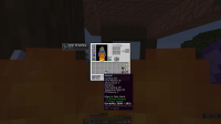 Minecraft 21w06a - Multiplayer (LAN) 2_13_2021 7_12_52 PM.png