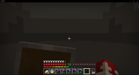 Minecraft 2021-03-11 8_03_21 PM.png