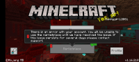 Screenshot_20210315-210003_Minecraft.jpg