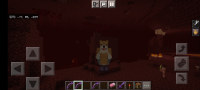 Screenshot_20210328-155239_Minecraft.jpg