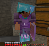 Minecraft glitch.png