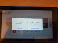 Nintendo Switch advisement screen.jpg