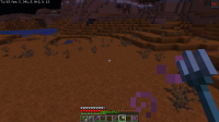 Minecraft_ 1.16.5 - Singleplayer 4_23_2021 4_09_09 PM.png