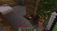 Villager not sleeping right..png