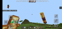 Screenshot_20210428_143619_com.mojang.minecraftpe.jpg