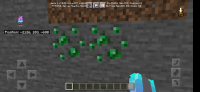 Screenshot_20210429-162715_Minecraft.jpg