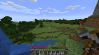 Minecraft 1.16.5 4_30_2021 2_50_35 PM.png