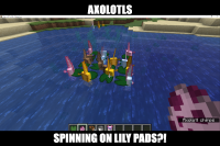 spin axolotls spin.png