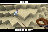 run axolotl run.png