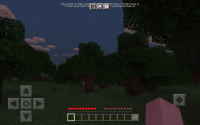 Screenshot_20210520-000904_Minecraft.jpg