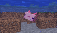 Axolotl After Regenerating.png