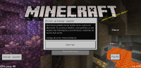Screenshot_20210611-012956_Minecraft.jpg