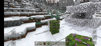 Screenshot_20210614-134939_Minecraft.jpg