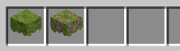 Minecraft 7_14_2021 8_59_14 PM (2).png